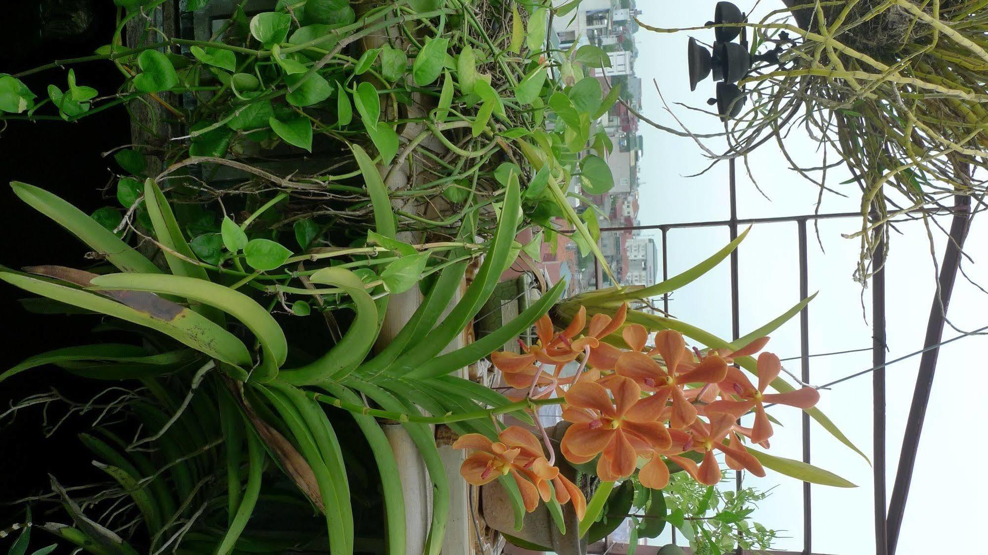Hotel Garden Queen Hanoi Luaran gambar
